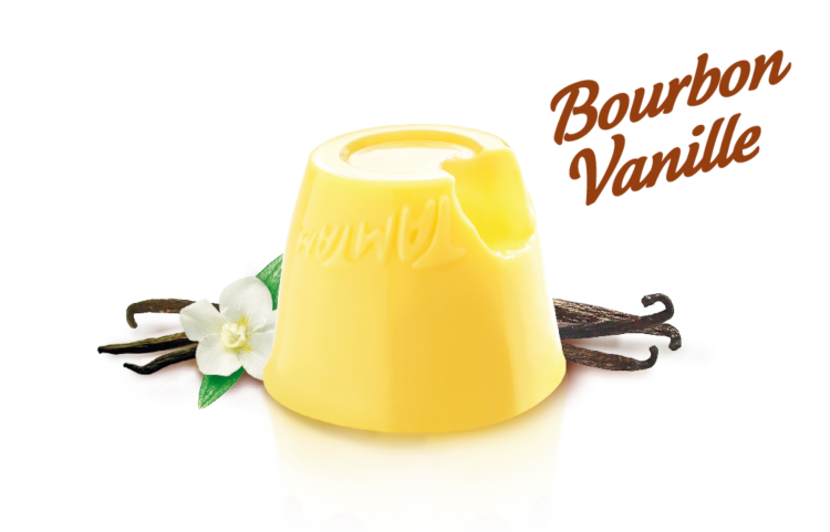 Illustration des bourbon vanille